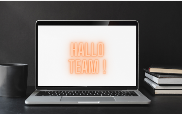 Virtuelle Teams führen